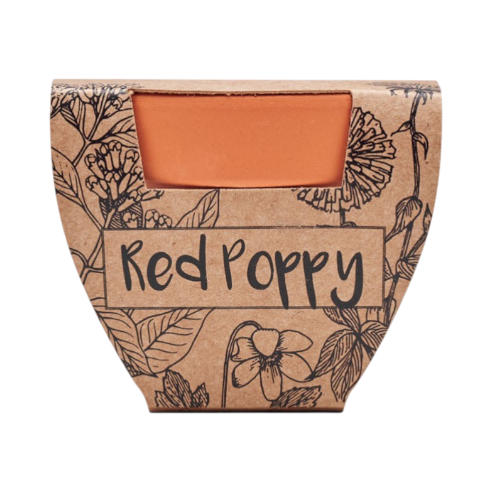 PDP - redpoppyterracottapotpoppy square #00000000 background