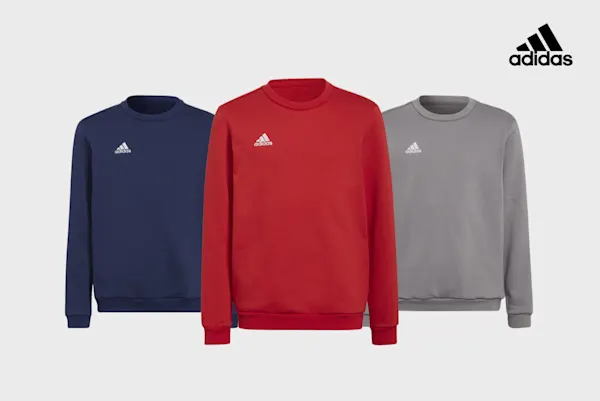 BI - adidasentradasweatshirtkids