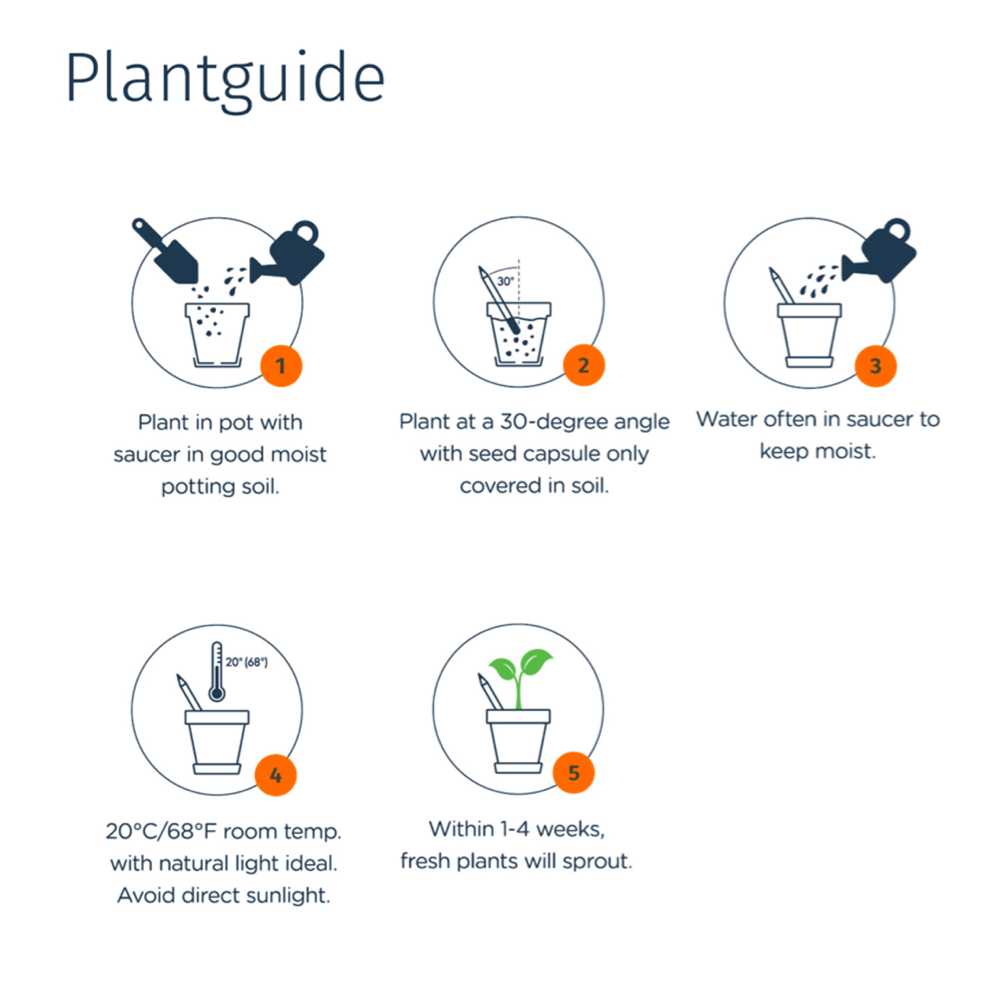 sproutworldsharpenedpencil PDP Copy 3