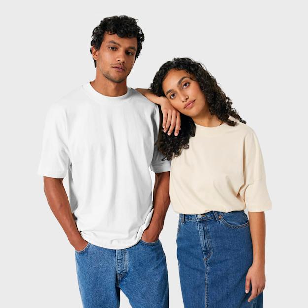 34. Blasterstanleystella DPD Image