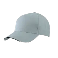Light Gray / Black