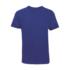 ICON - solstuner royal_blue_2
