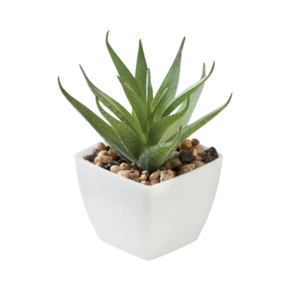 PDP - artiloeminiartificialplant square #00000000 background