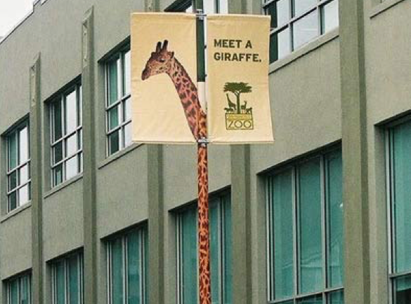 Go-Large-or-Go-Home