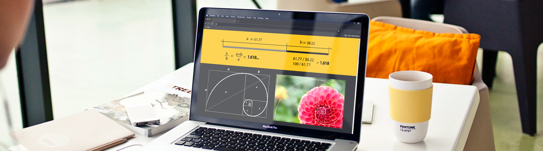 What is the Golden Ratio and How Can it Help You?