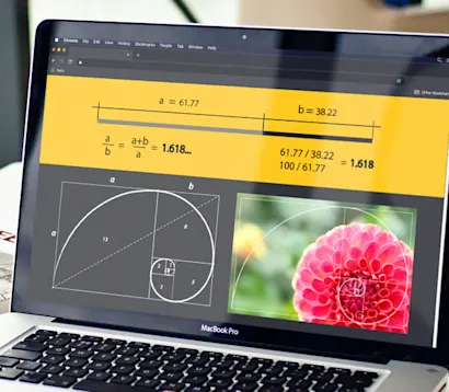 Wat is de Gulden Snede en hoe kan het jou helpen?