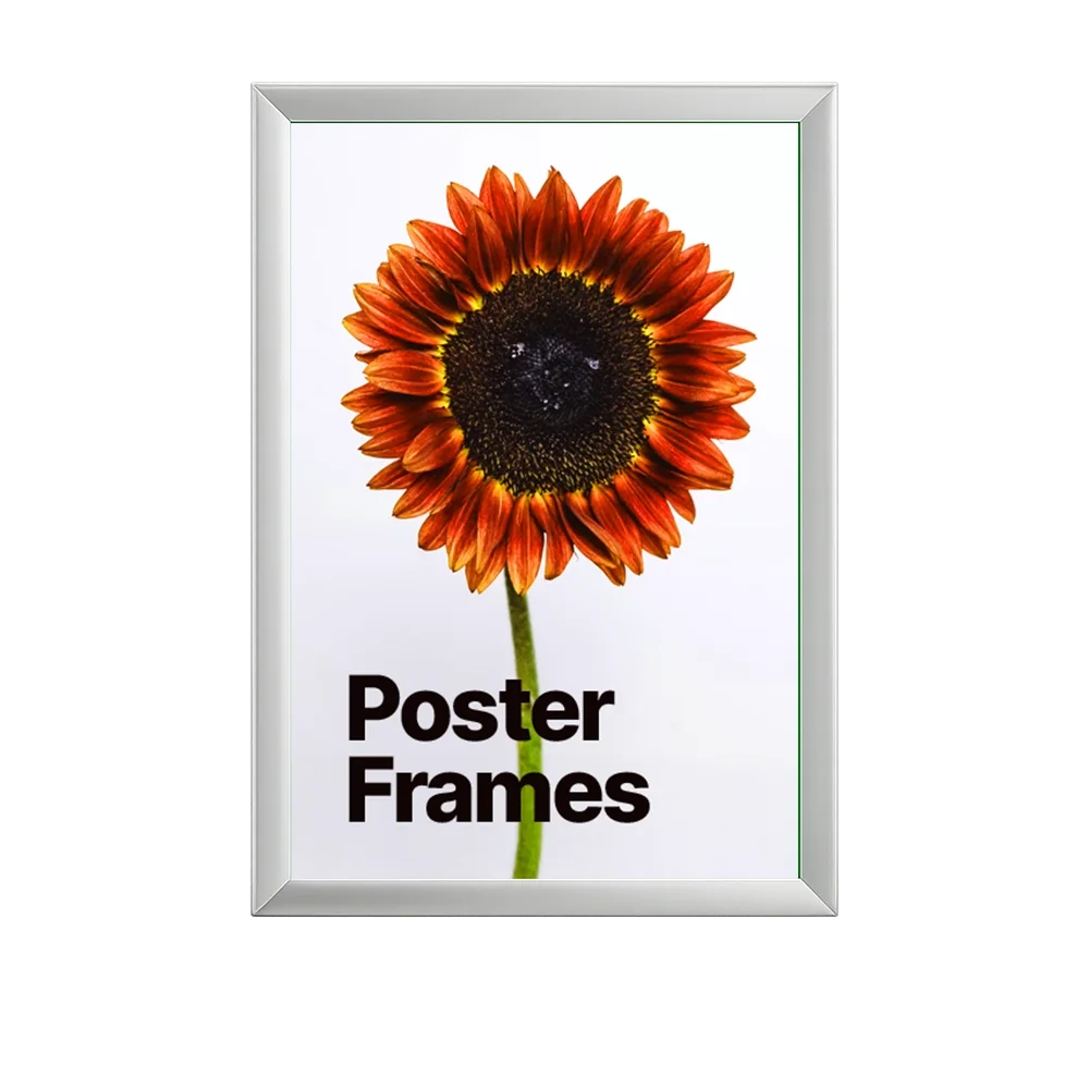 Poster Frames-catalog-image