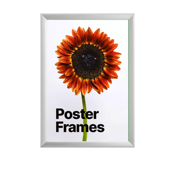Cornici per poster