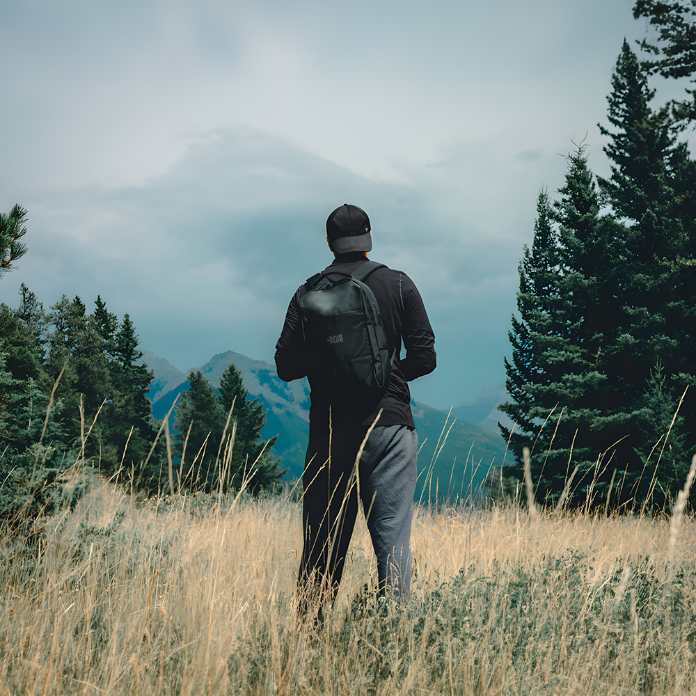 swisspeakawaretrpet156inchdaypack setting4