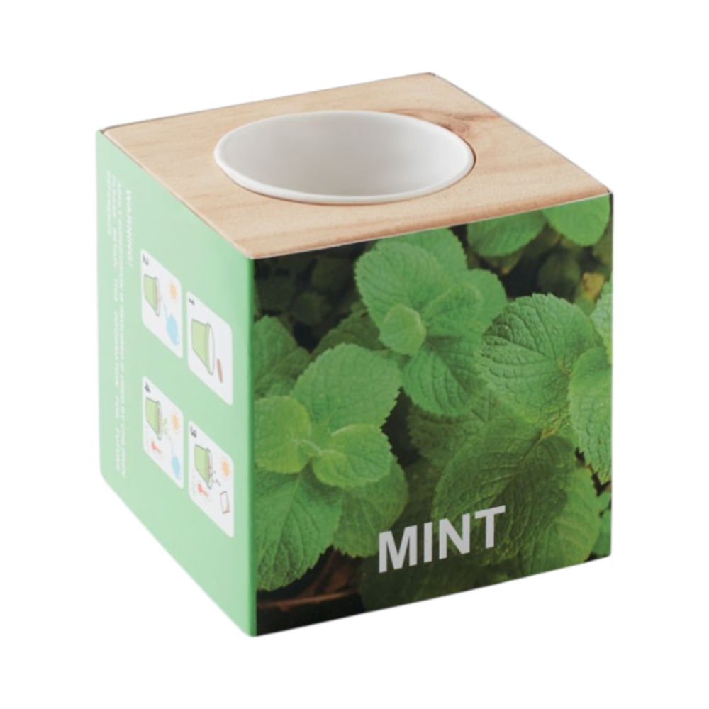 PDP - mentaherbpotwoodmint square #00000000 background