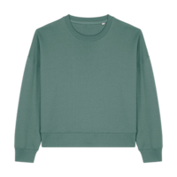 ICON - stanleystellathewomenscrewnecksweatshirt green_bay