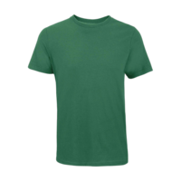 Vert irlandais