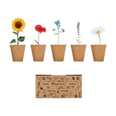 Flowers Growing Kit