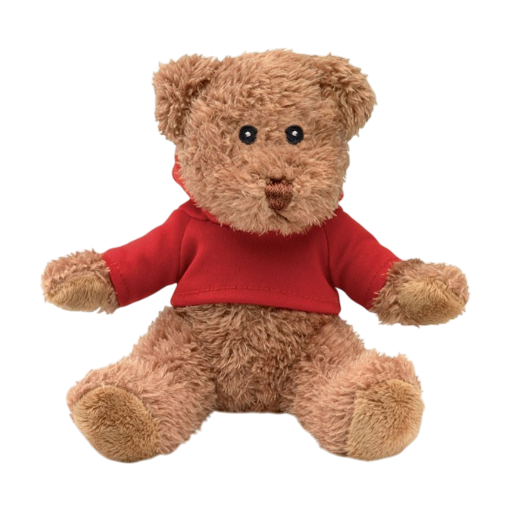 ICON - teddybeermetsweatshirt red