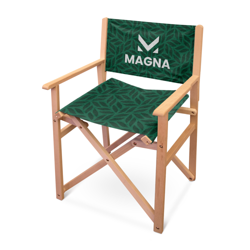director-chair-product-image-500x500-4