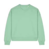 ICON - stanleystellathewomenscrewnecksweatshirt misty_jade