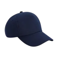 French Navy