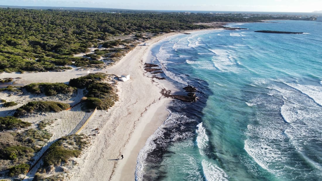 Ses Salines Natural Park
