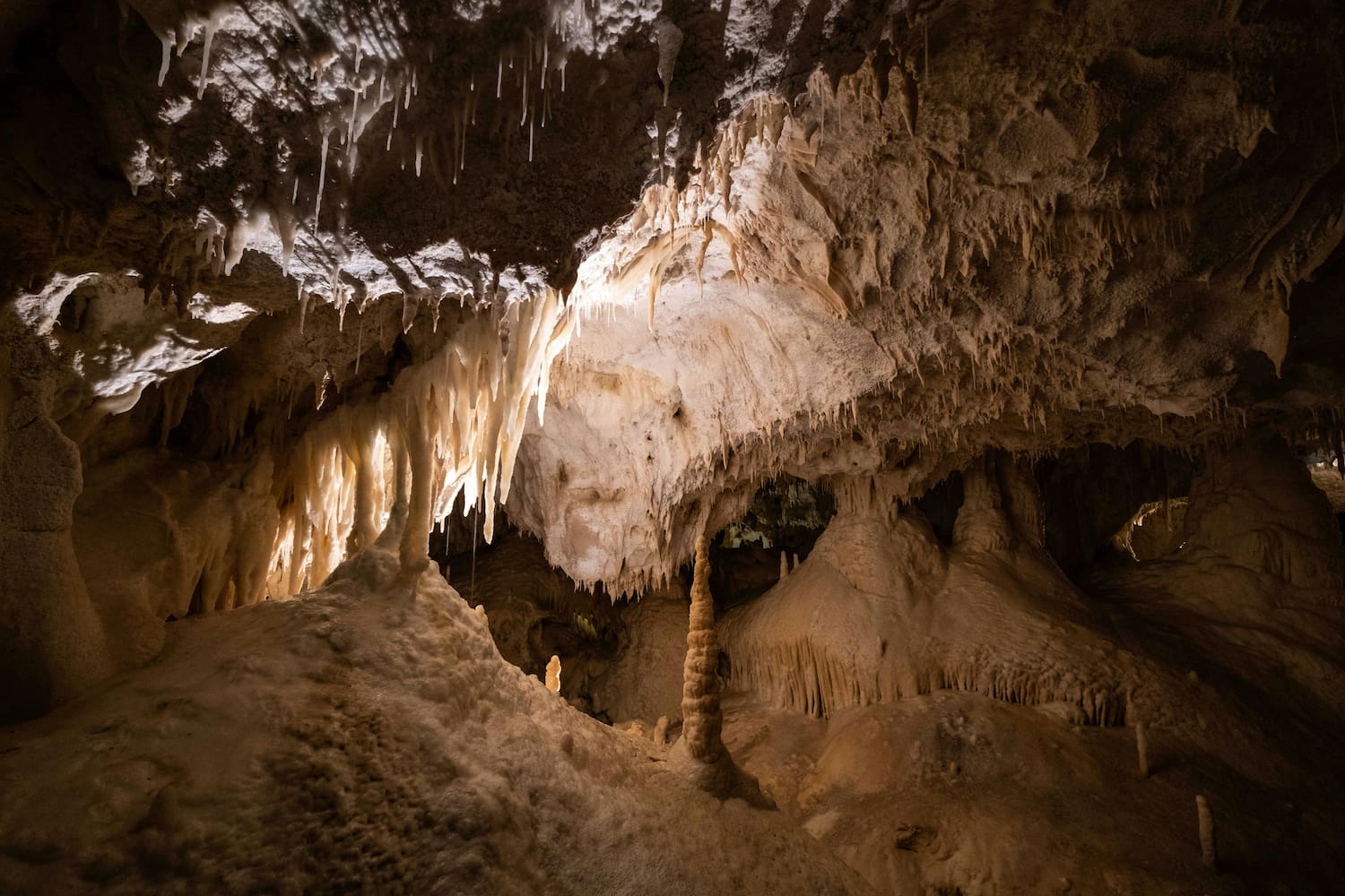 Grotte de Niaux