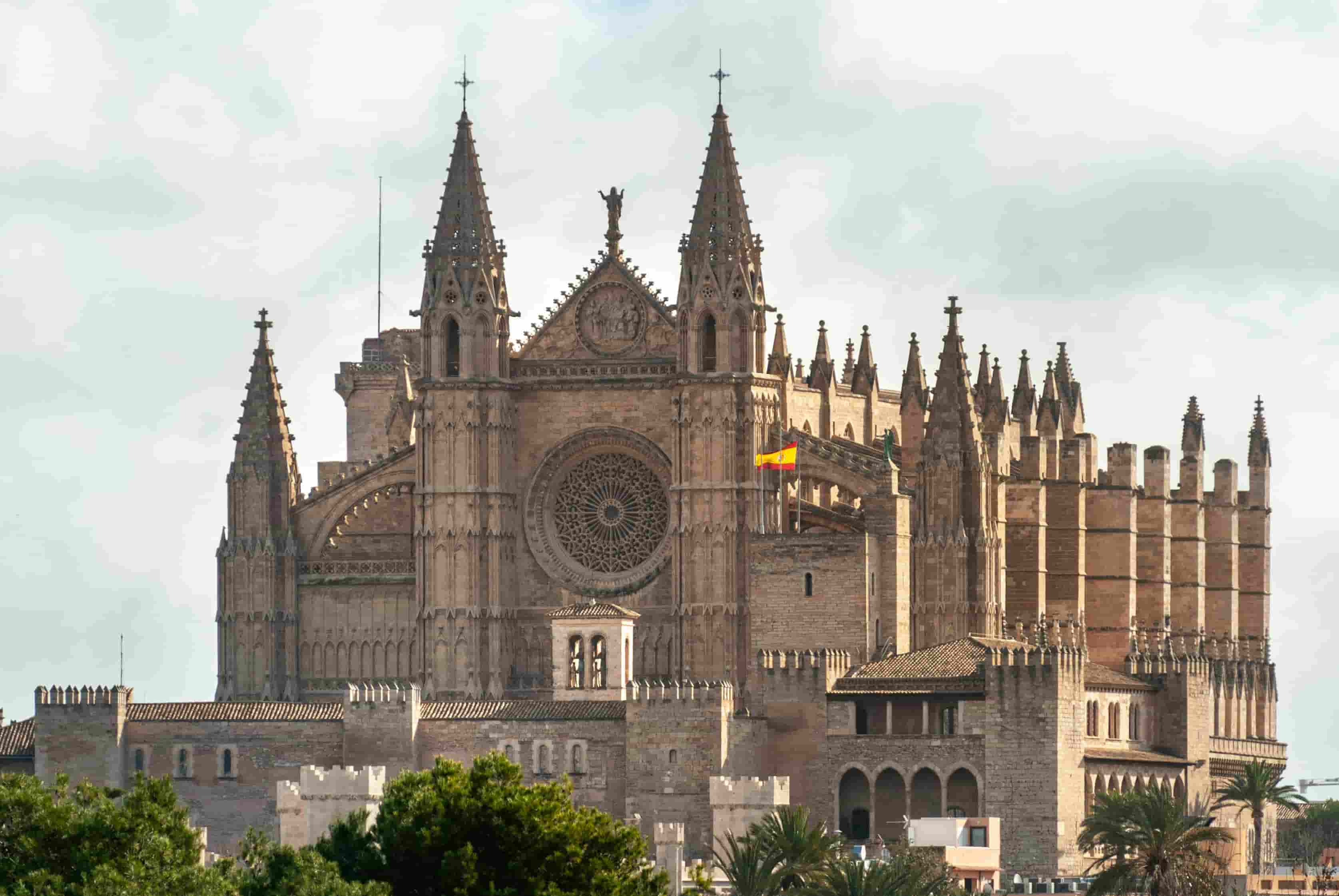 Cathédrale-basilique Sainte-Marie (La Seu)