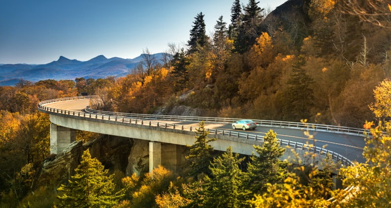 OS >  Content Page > Car Hire > Extras > Ski Rack > Card 1 > image