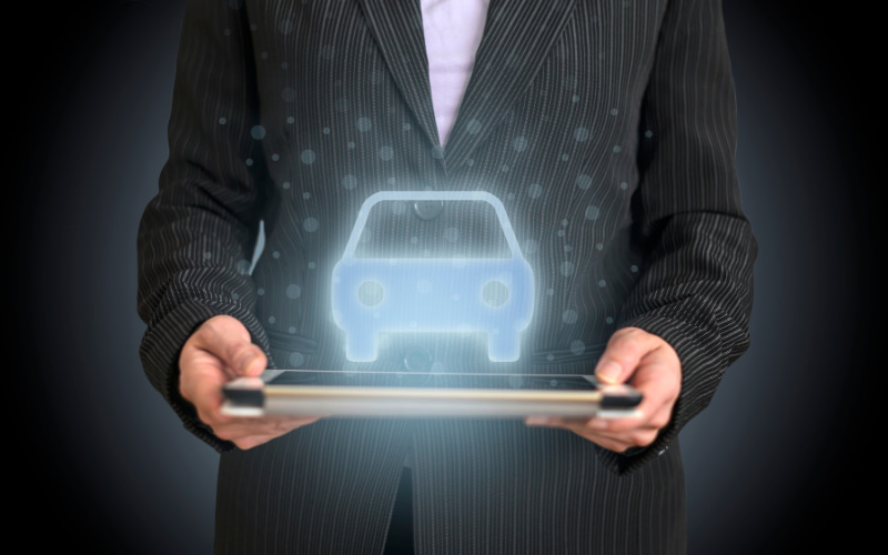 Poland Mid-term Content Image2