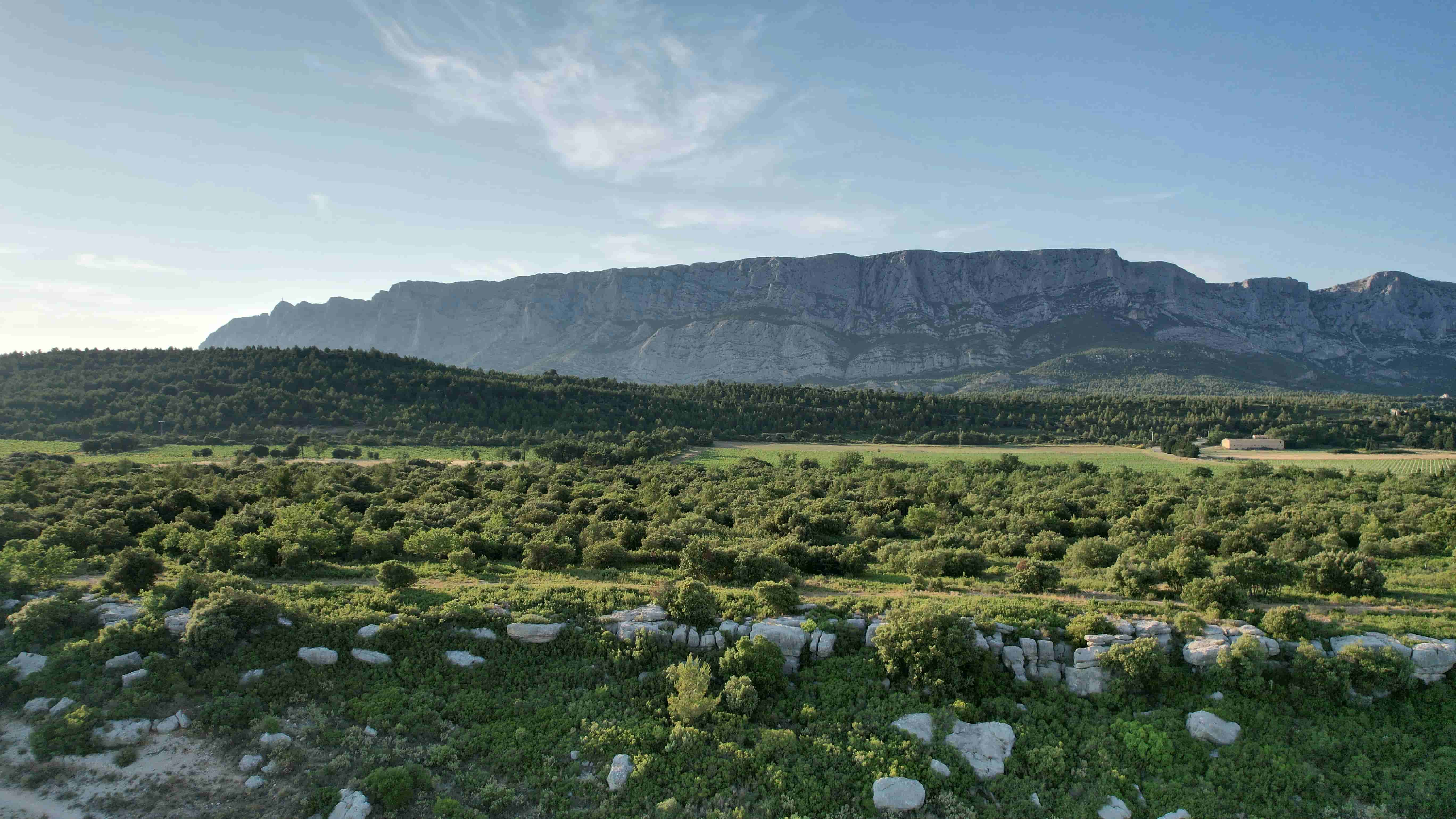 Montagne Ste-Victoire