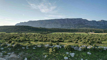 Montagne Ste-Victoire