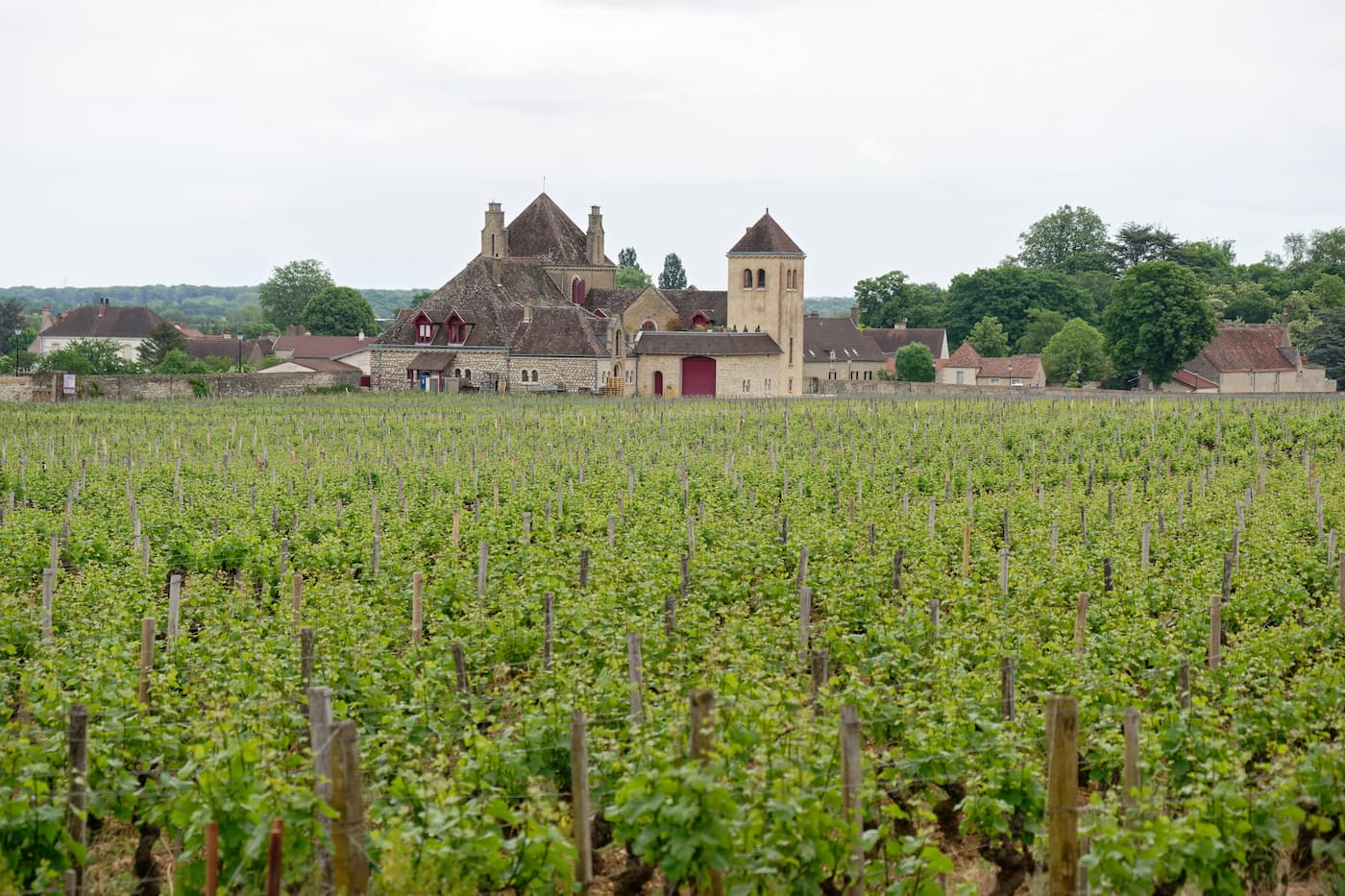 Clos de Vougeot