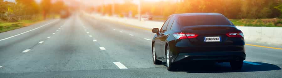 900x250px MS Partners