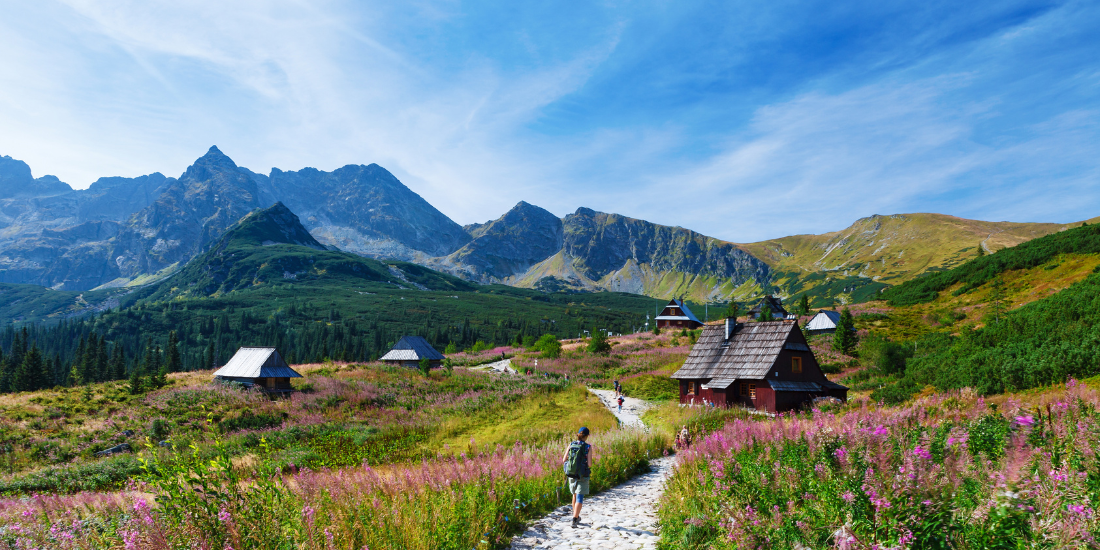 Global promo hero banner