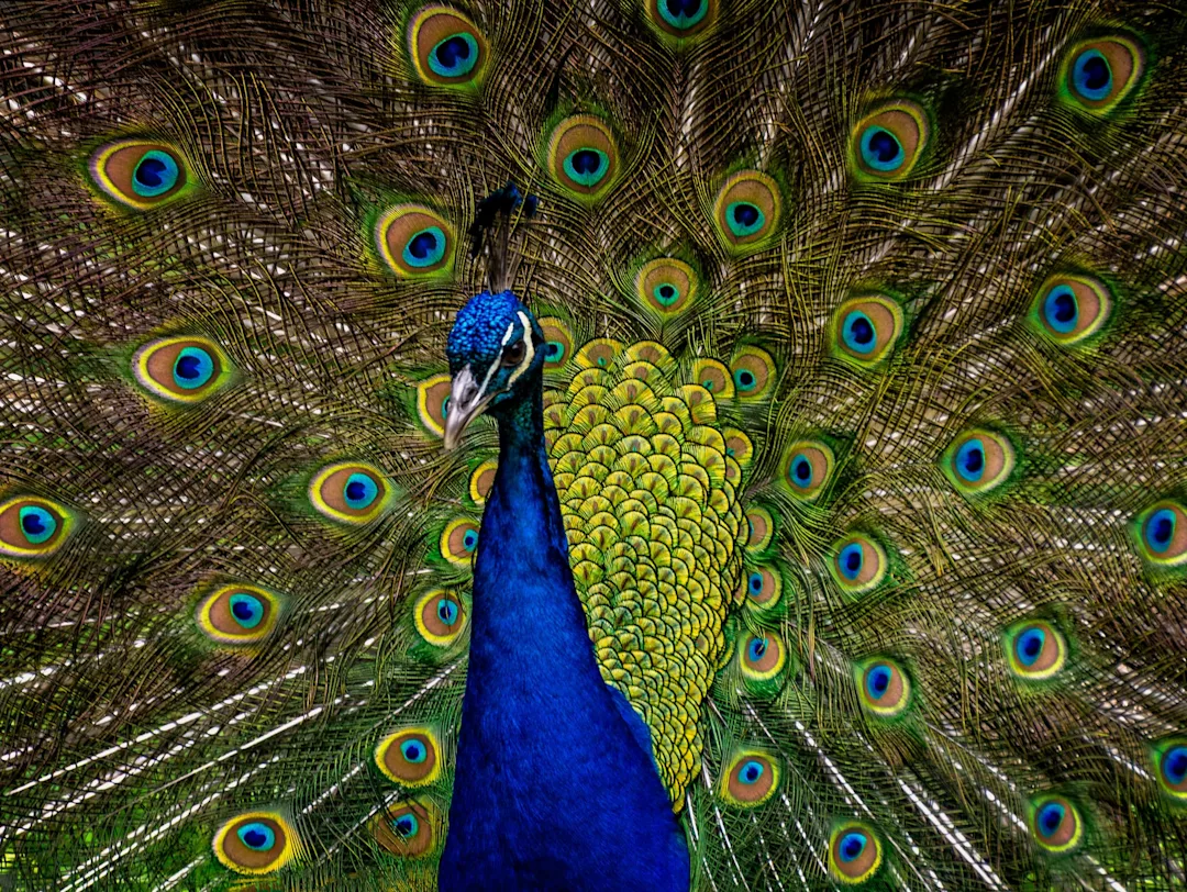 Resinex-values-humility Resinex-values-humility