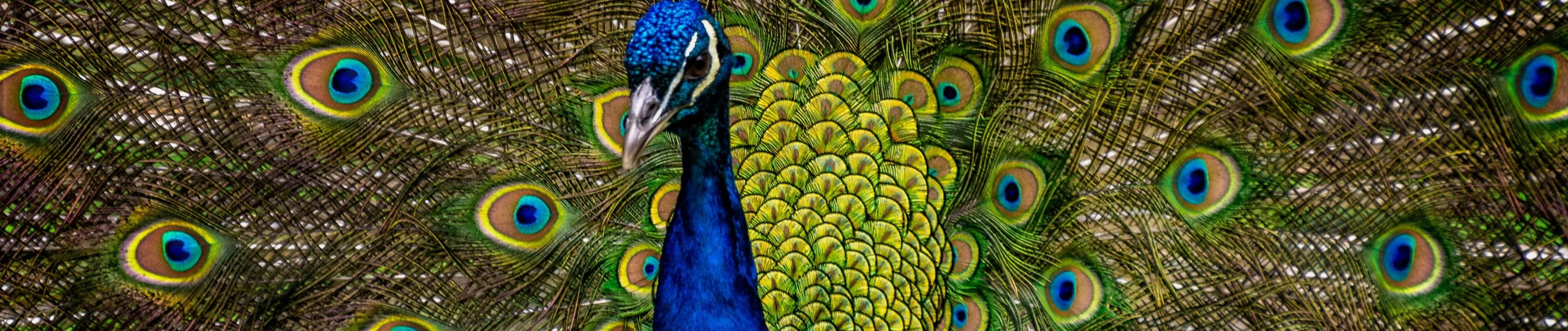 Resinex-values-humility Resinex-values-humility