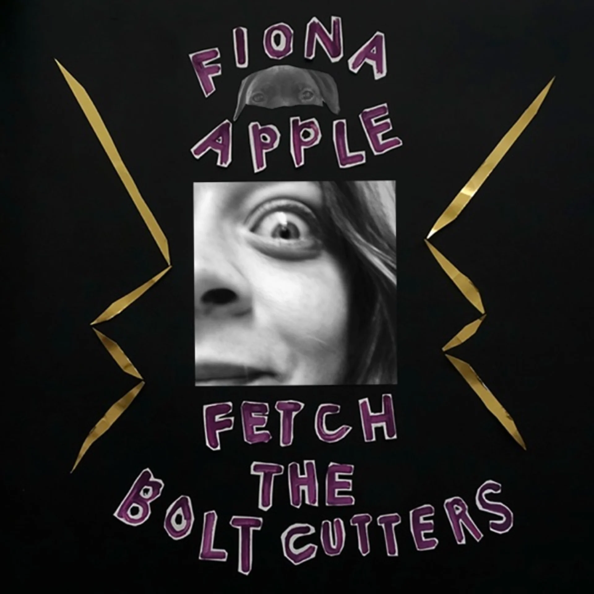 Fetch the Bolt Cutters by Fiona Apple — album cover art