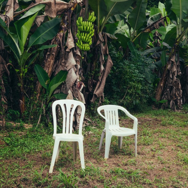 Debí Tirar Más Fotos by Bad Bunny — album cover art