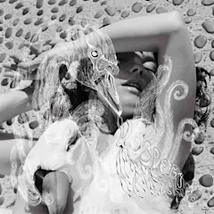 Vespertine by Björk