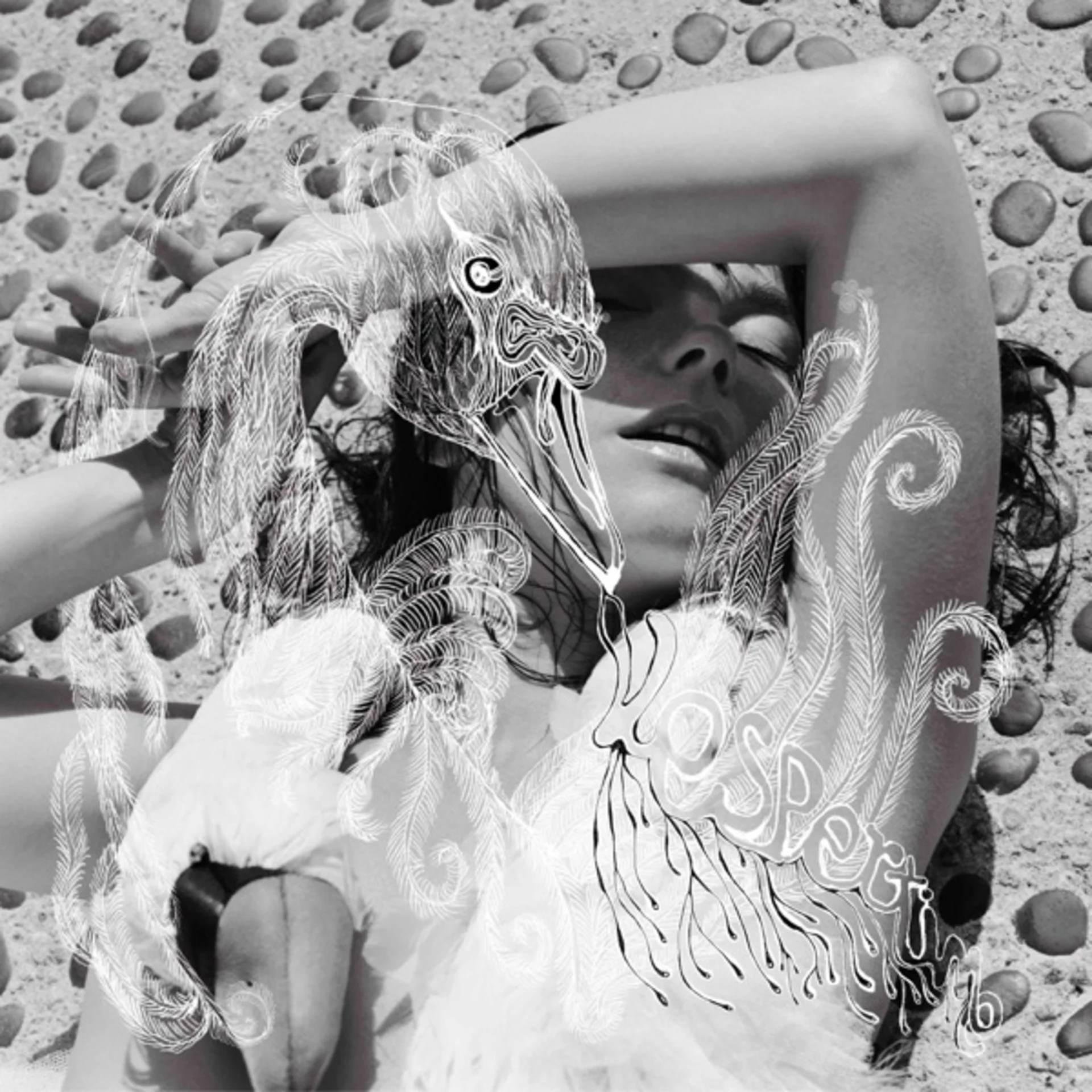 Vespertine by Björk — album cover art