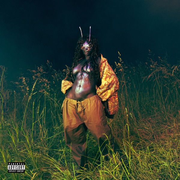 SOS Deluxe: LANA by SZA — album cover art