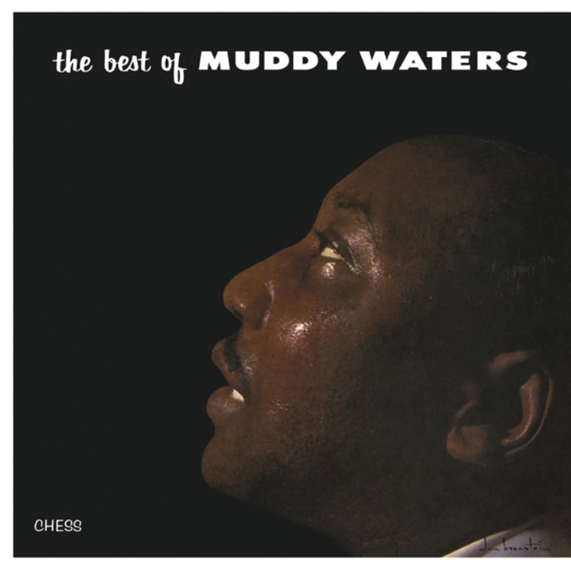 The Best of Muddy Waters by Muddy Waters — album cover art