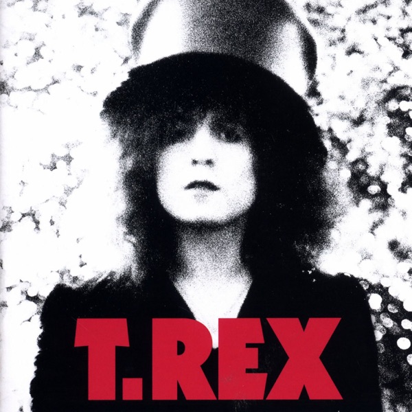 The Slider by T. Rex — album cover art