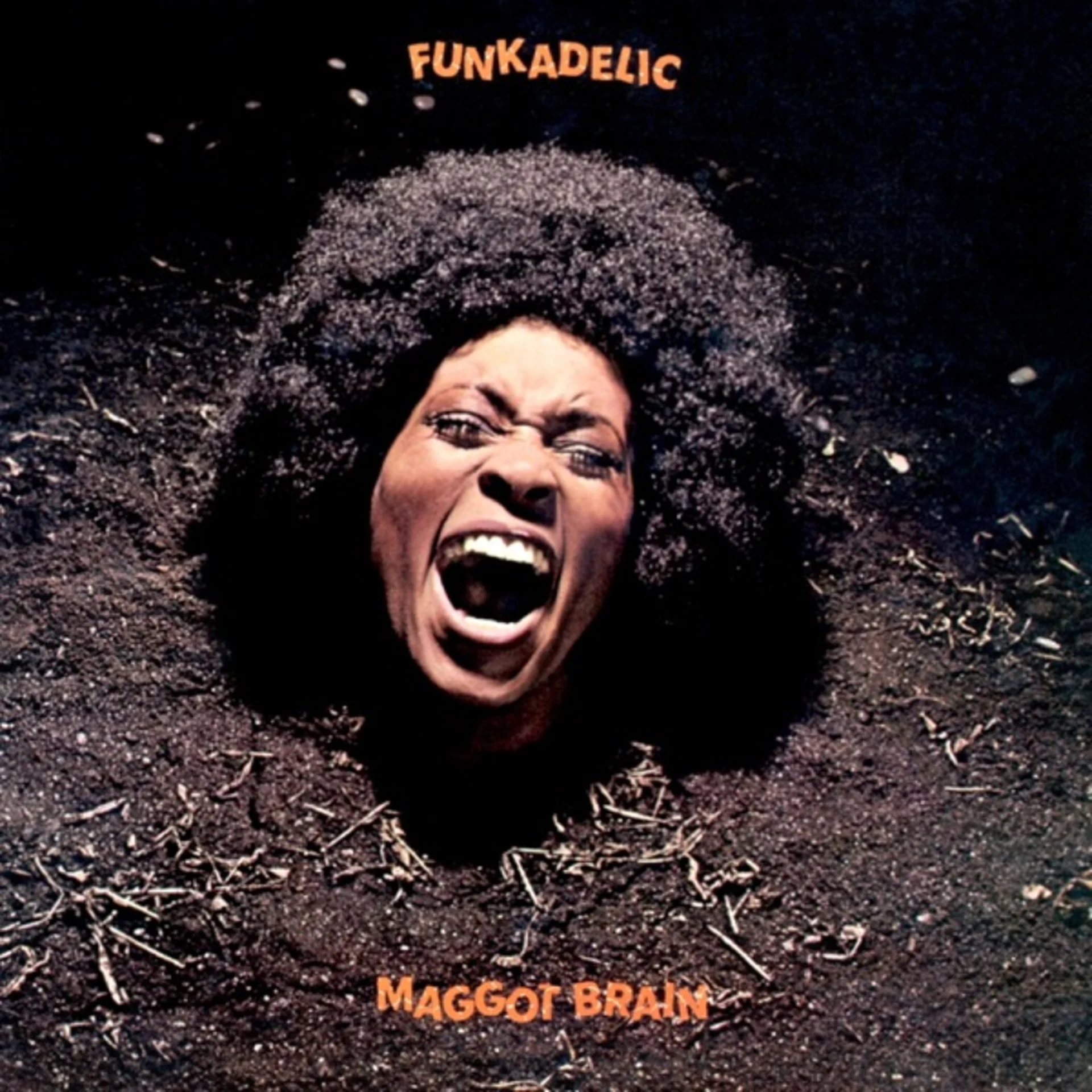 Maggot Brain by Funkadelic — album cover art