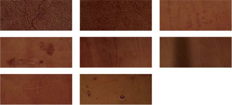 mainSwatches