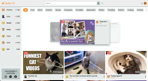 bulka-tv