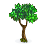 1x Fruit Tree! (Common)