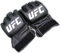 1x UFC Gloves