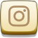 FV2 instagram icon