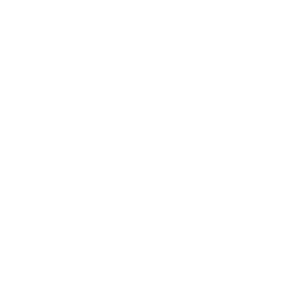 Private Division Logo