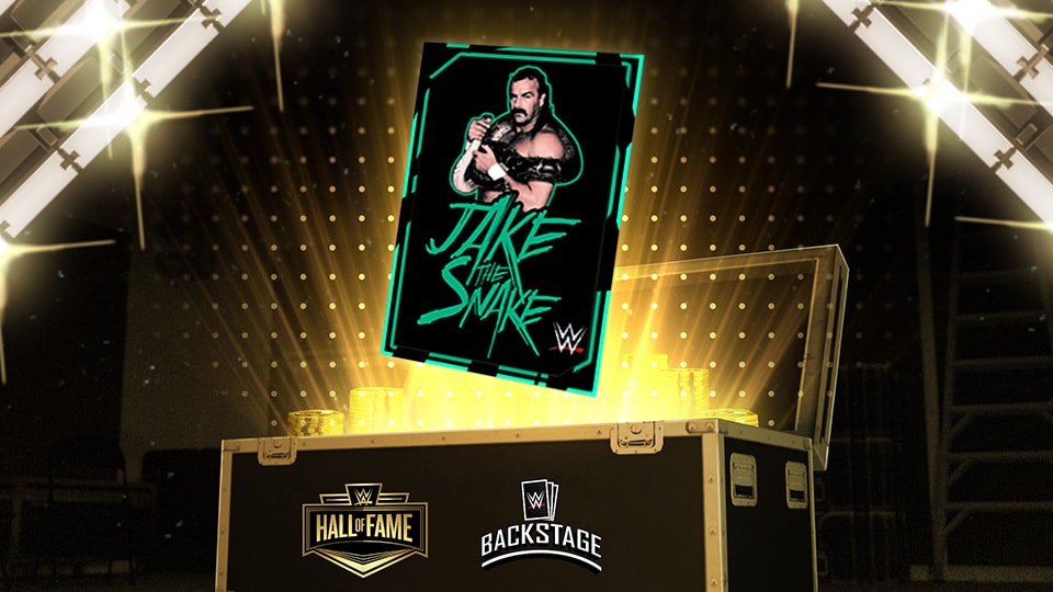 Jake 'The Snake' Roberts 백스테이지 팩