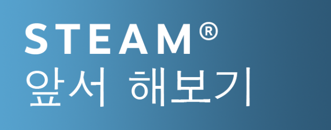 Steam-early-access-korean
