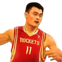 The Great Wall Yao Ming ELITE
